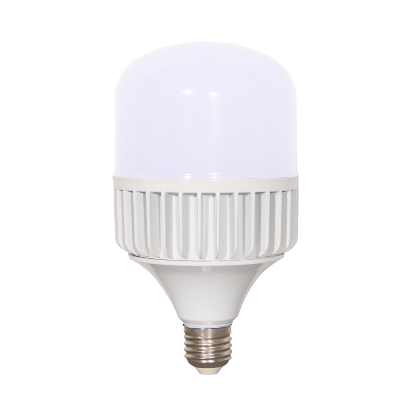LED Aluminum T Bulb